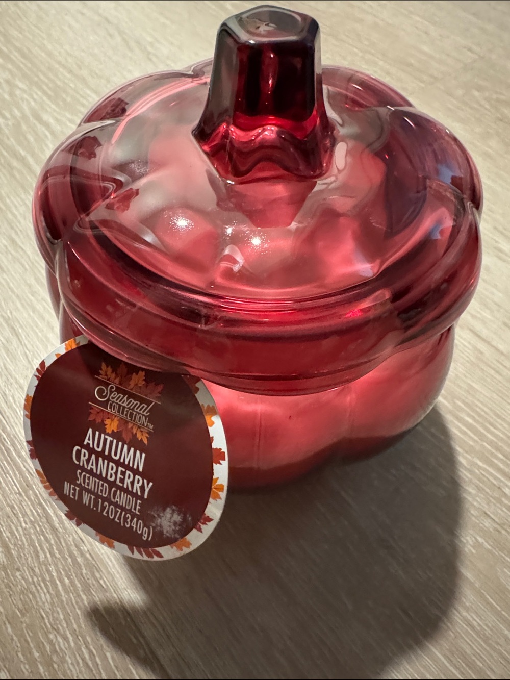 Autumn Cranberry Pumpkin Jar Candle NEW 🏷️